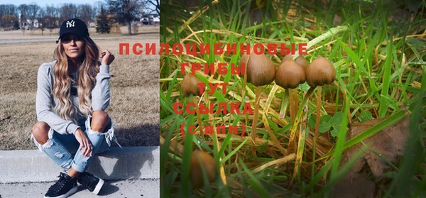 прущий лед Аркадак