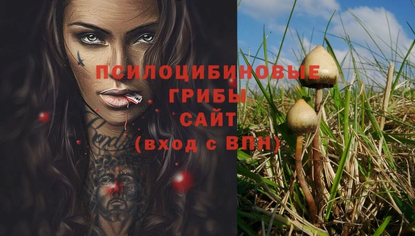 скорость Арсеньев
