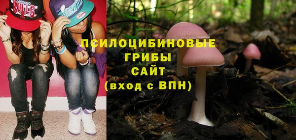 ECSTASY Армянск